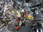 Enlarge photo 117
