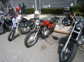 Enlarge photo 121