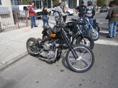 Enlarge photo 127