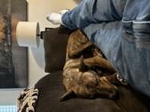 Enlarge photo 19