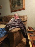 Enlarge photo 59