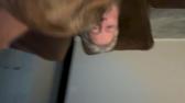 Enlarge MOV 27