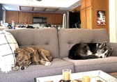 Enlarge photo 57