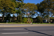 Enlarge photo 41