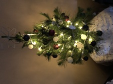 Enlarge photo 59