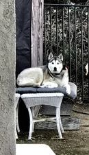 Enlarge photo 56