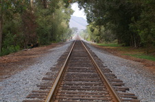 Enlarge photo 191