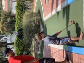 Enlarge photo 533