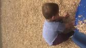 Enlarge MOV 310