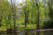 Enlarge photo 26