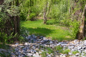 Enlarge photo 45