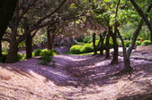 Enlarge photo 44