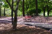 Enlarge photo 43