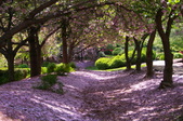 Enlarge photo 42
