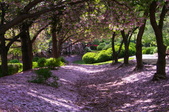 Enlarge photo 41