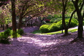 Enlarge photo 40