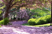 Enlarge photo 39