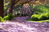 Enlarge photo 38