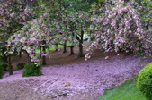 Enlarge photo 37