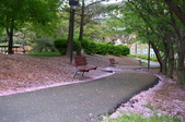 Enlarge photo 36