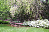 Enlarge photo 35
