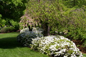 Enlarge photo 34