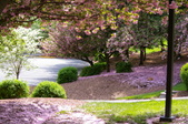 Enlarge photo 33