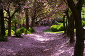 Enlarge photo 31