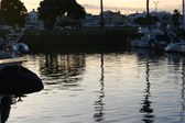 Enlarge photo 1