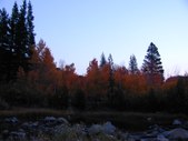 Enlarge photo 1