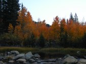 Enlarge photo 4