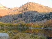 Enlarge photo 16