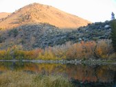 Enlarge photo 17