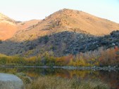 Enlarge photo 21