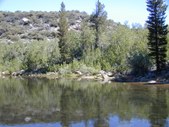 Enlarge photo 17