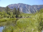 Enlarge photo 18