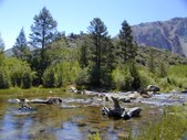 Enlarge photo 20