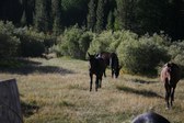 Enlarge photo 1