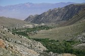 Enlarge photo 19