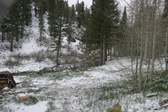 Enlarge photo 9