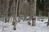 Enlarge photo 23
