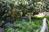 Enlarge photo 21