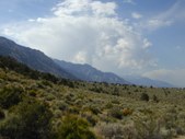 Enlarge photo 17