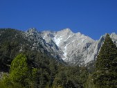 Lone Pine
