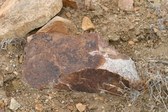 Enlarge photo 24
