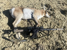 Wy goat and deer hunting