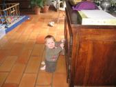 Enlarge photo 77