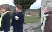 Enlarge photo 62
