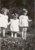 Enlarge photo 136
