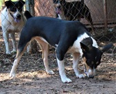 Enlarge photo 6
